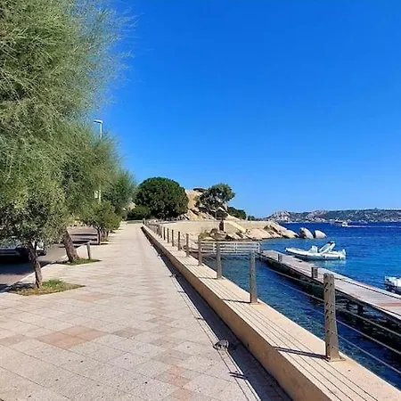 Pala -